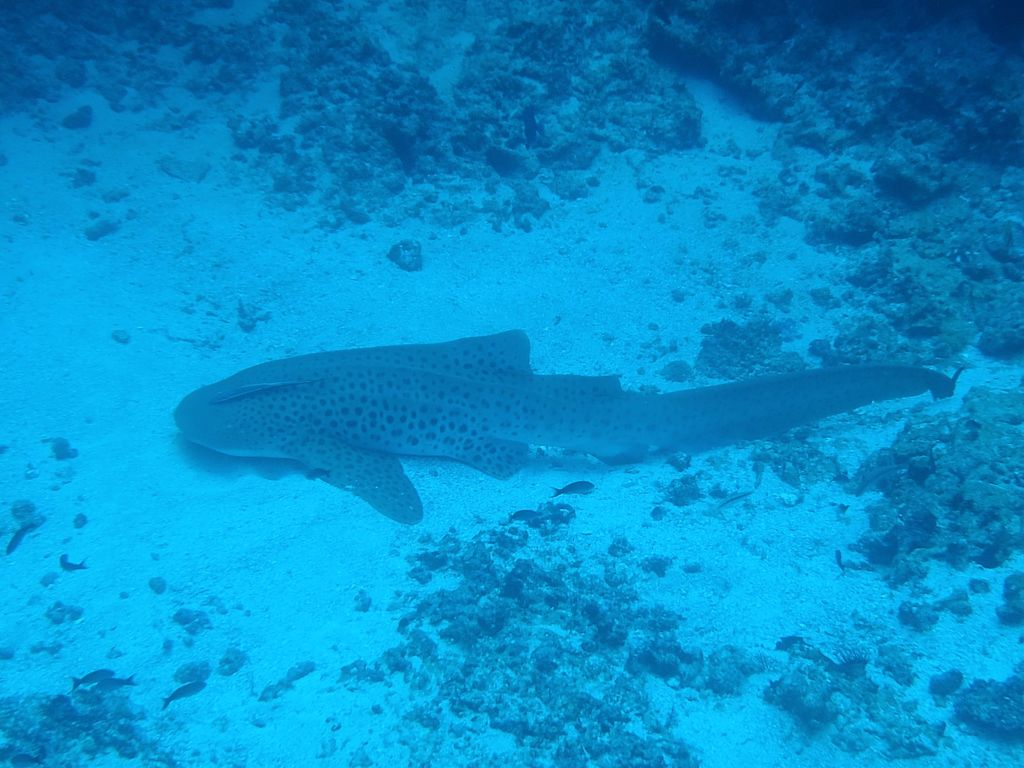 7fb7061e-bf2a-4b22-be13-cc38c0c33712