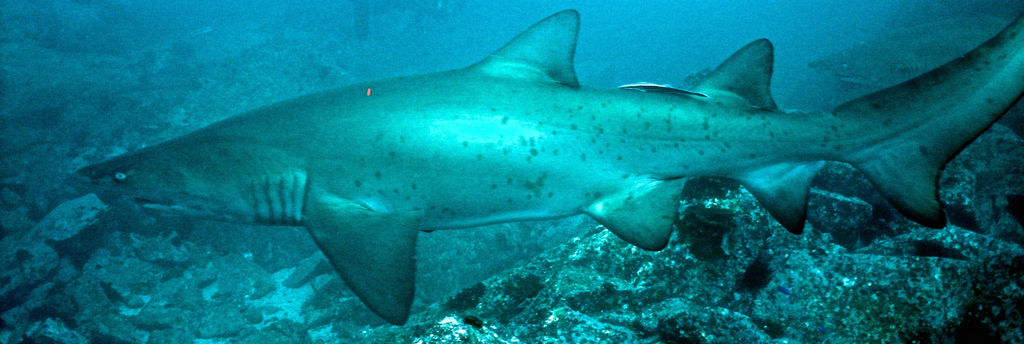 8a7d5b13-5bfb-4de1-8ad1-878b91a99292