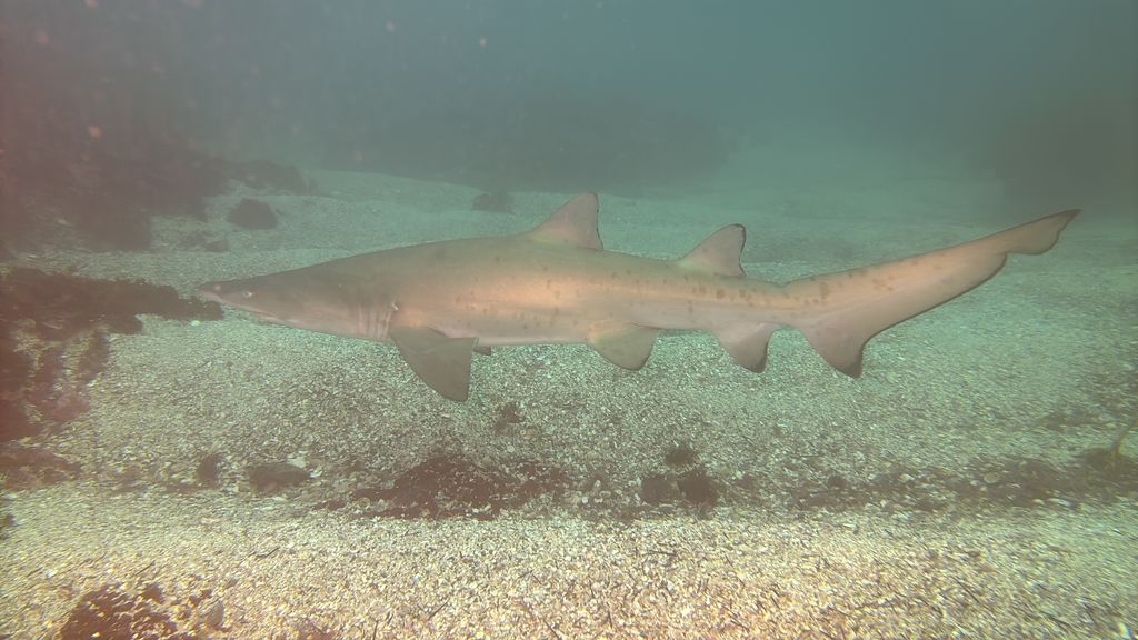 b747b3ea-ee8d-478f-b0d4-effeebab0f85