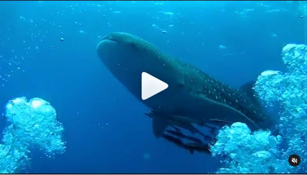 fe9da9df-9341-4121-95e0-7bc6cc4badc5