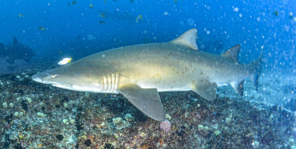 9ec1081a-f6c6-433d-a167-5b954bdef90d