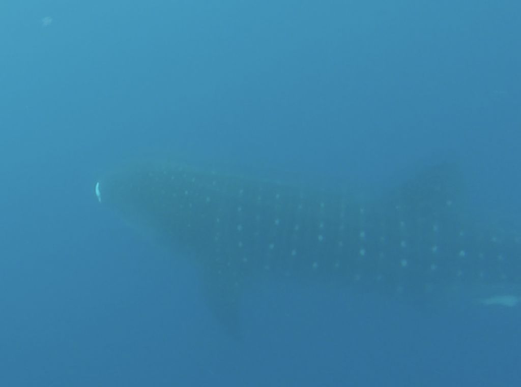 f8a14148-f170-4f2e-b086-d1588527faf2