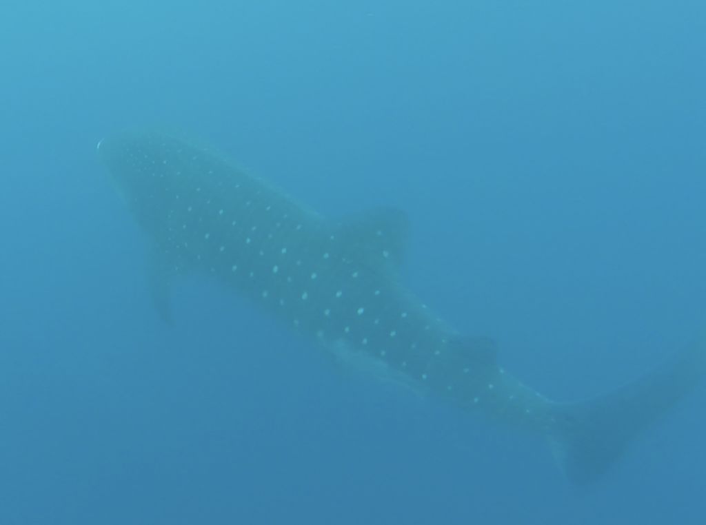 f8a14148-f170-4f2e-b086-d1588527faf2