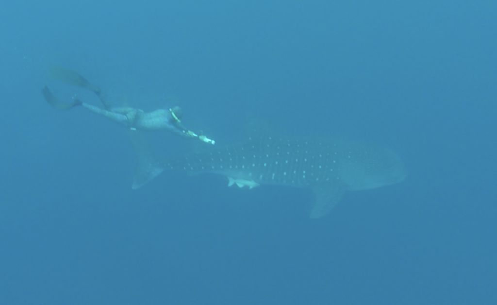 f8a14148-f170-4f2e-b086-d1588527faf2