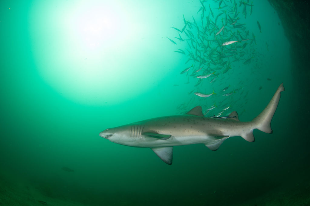 387a9329-fbe8-4d66-ae14-6142b7bf9d84