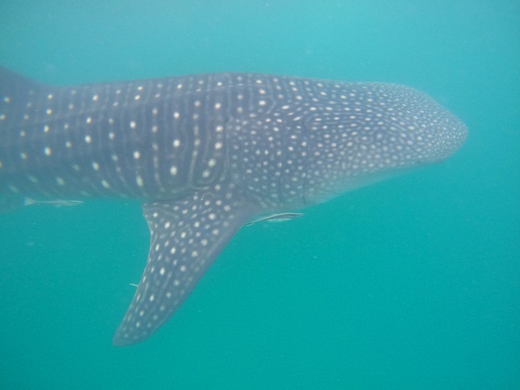 feb02b9d-399b-402b-a8a9-897de41f6e2d