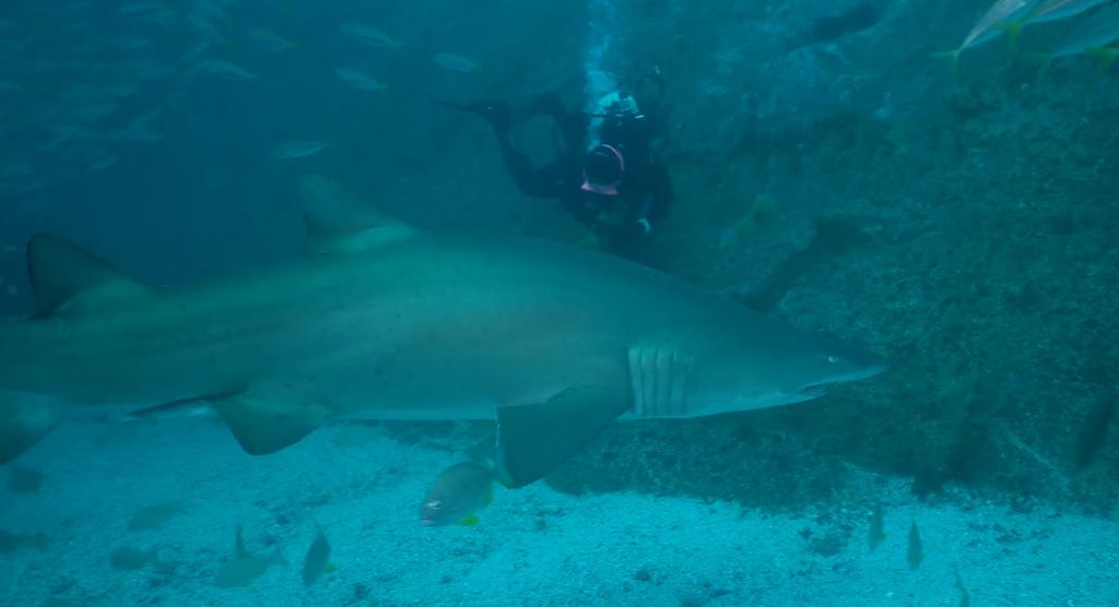 5345082a-d483-49be-8d71-071f70aae060