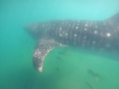 0562c90f-bfbe-4dab-97d0-4b0afc4243b7