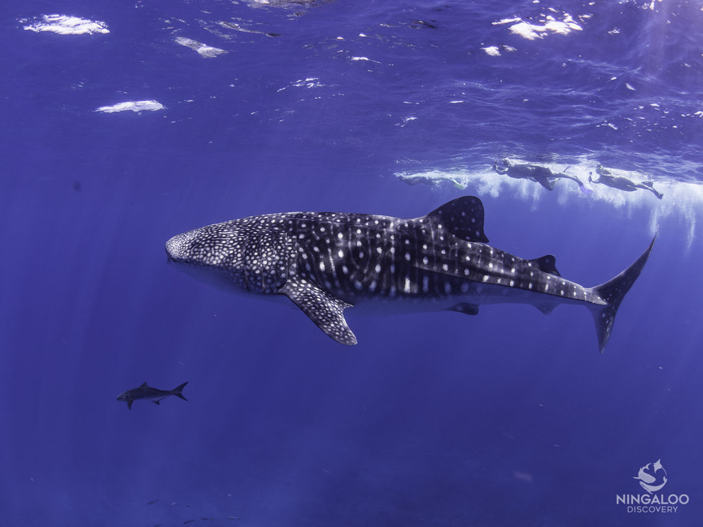 81266e96-71c9-4636-a5f9-b51a1c309e03