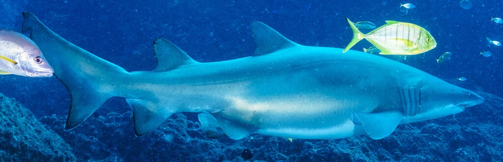 582d1773-2649-4879-ab6a-1ab7f0002575