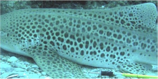 893f341e-ad67-43bc-a749-1788521085b9