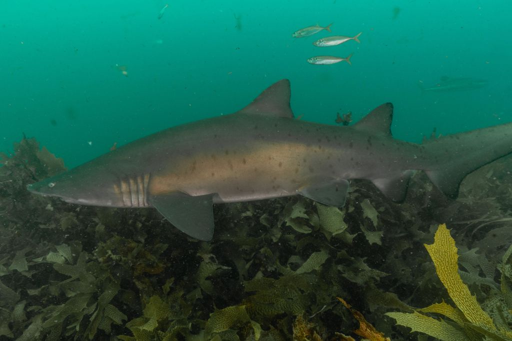 9b8c2b50-4359-4a8f-aa05-084c9928eb25