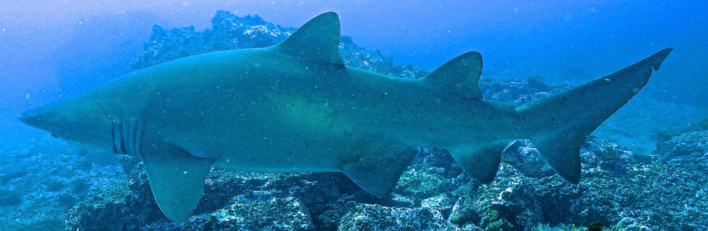 ce66660d-8160-45bb-b45c-203c581ecce3