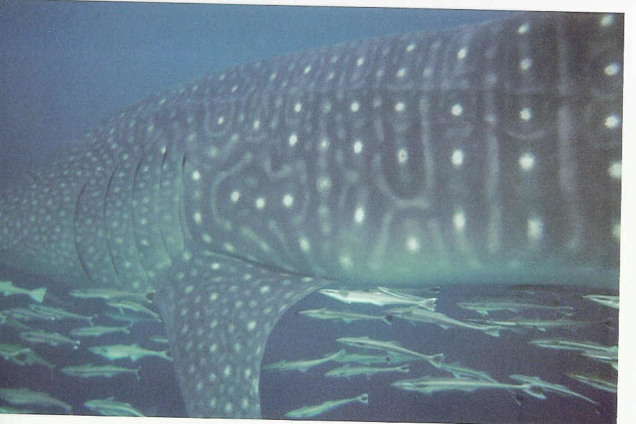 aa8686ab-b205-41c8-b3c2-b72419ad4d7f