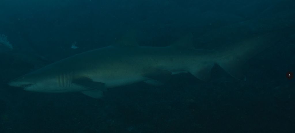 945cb0ce-8b22-498f-8ae8-9dae6002d2d4