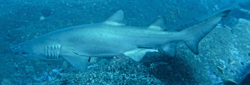 86886874-9df3-4d0c-8ffa-2122220791d1