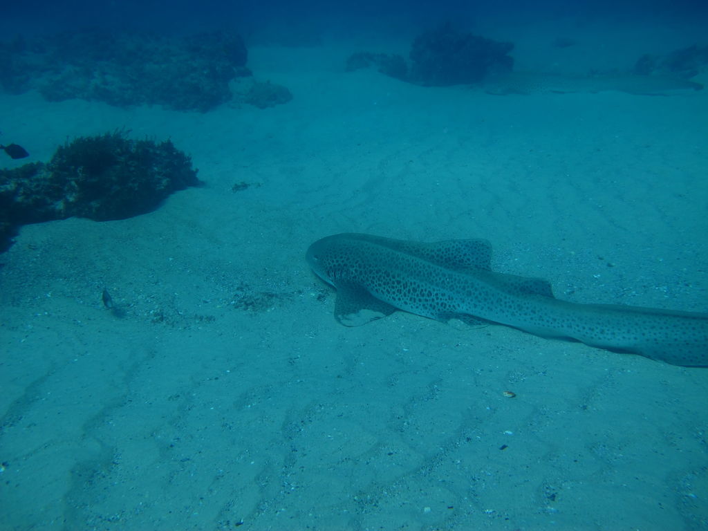 930933b8-fb45-43f9-ba1d-f99220bd9839