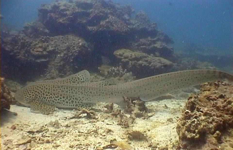 b3a5556b-e2ab-4b45-bae5-42b715ba93c1