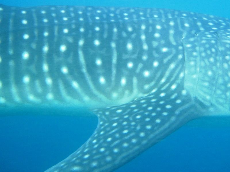 b28ee072-0be1-4874-9dbb-89fd0f28694d