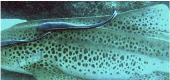 8efb8026-1d08-4587-ba39-0769dedc540d