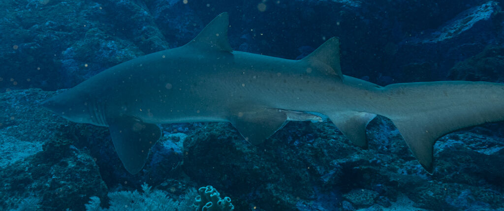 86880601-1b61-4bb7-a0bb-b859ab930a29