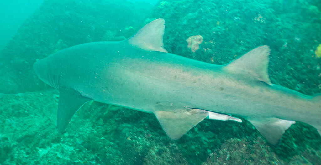 0d7054ca-da25-4e48-af64-6d871bea4493