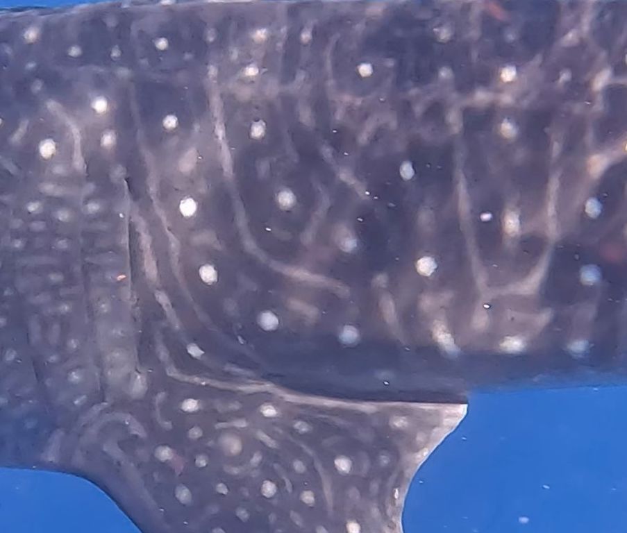 e7408147-339a-4f6a-aaec-a60659343a94