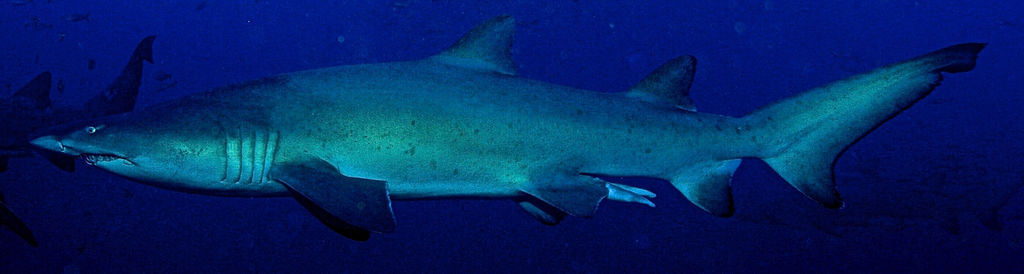 9d32898d-1cc2-4d34-80fa-2afe0441f94b