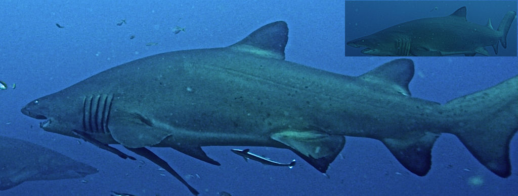 e1ad1e69-3972-40d4-a90d-7768f2931df6