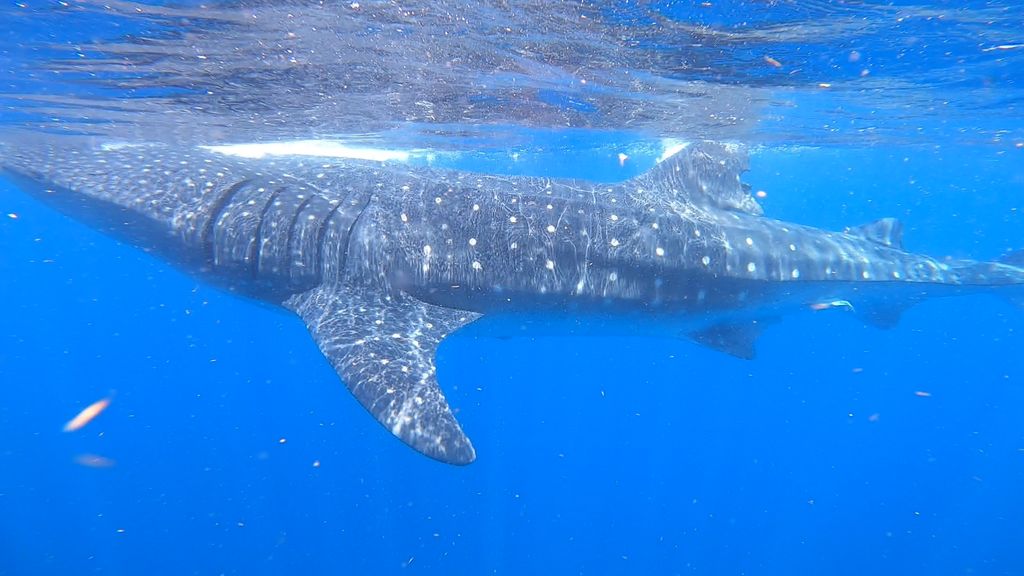 3e20d6a3-7430-456b-85fb-c3999153a473