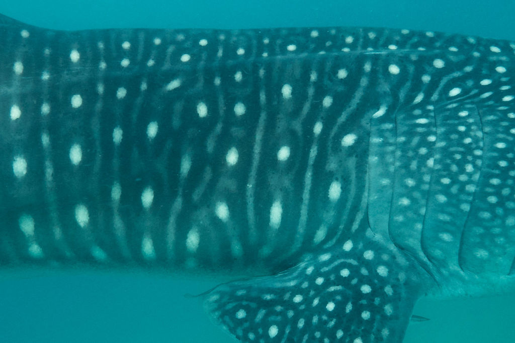 91dc0676-5d89-40a1-9578-a981c2b145ca