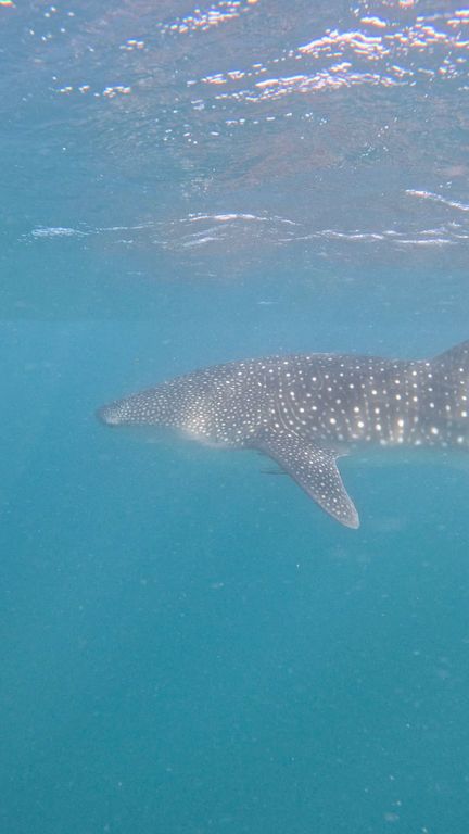 54c65c74-d812-49f1-89e1-73c59ab72144