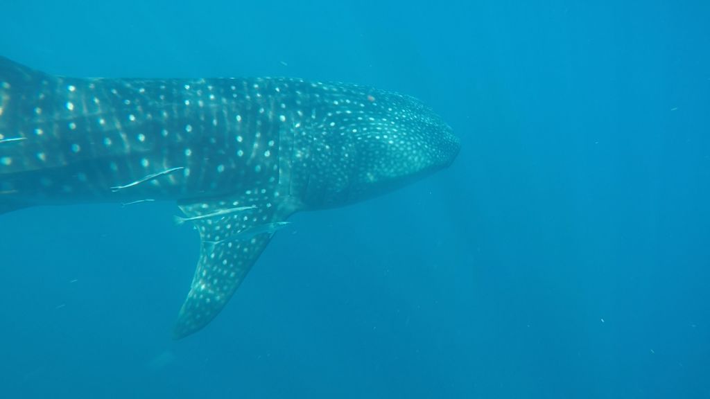 840c0ea7-3f66-49f9-9492-66cf978109e2