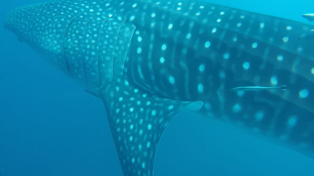 840c0ea7-3f66-49f9-9492-66cf978109e2