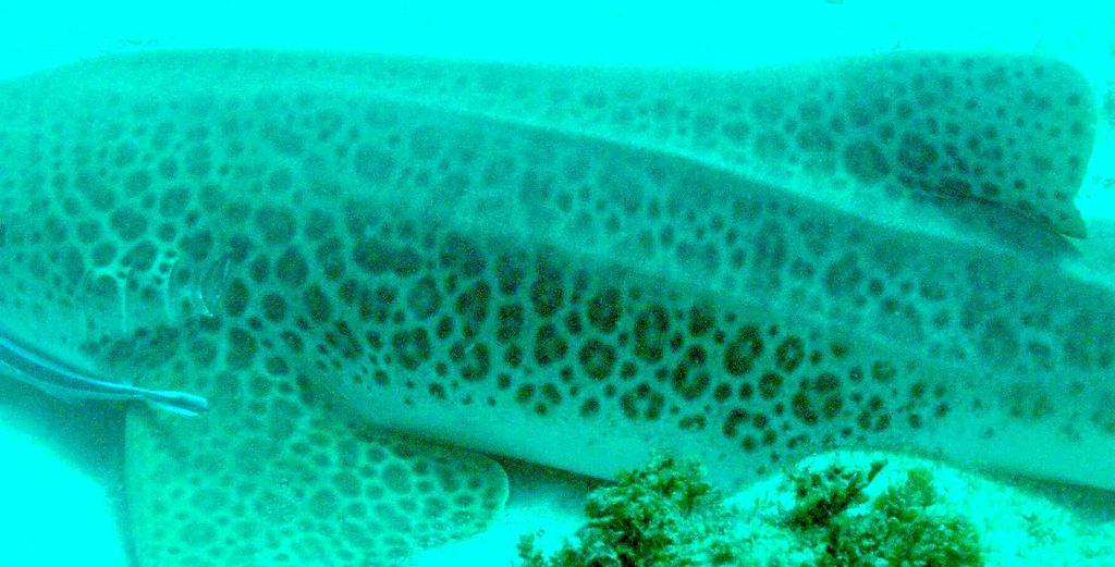 c588fae2-116d-48b6-92af-6e25e6bb8c16