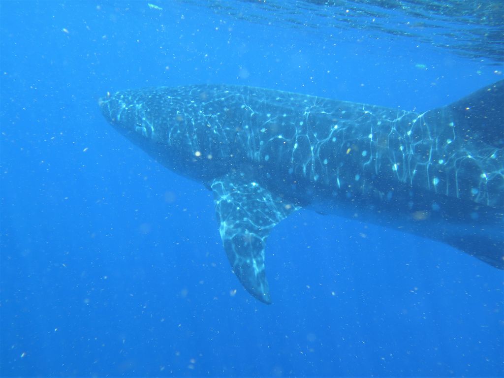 94b8b6eb-11b4-4ac8-9edb-39b79a769631