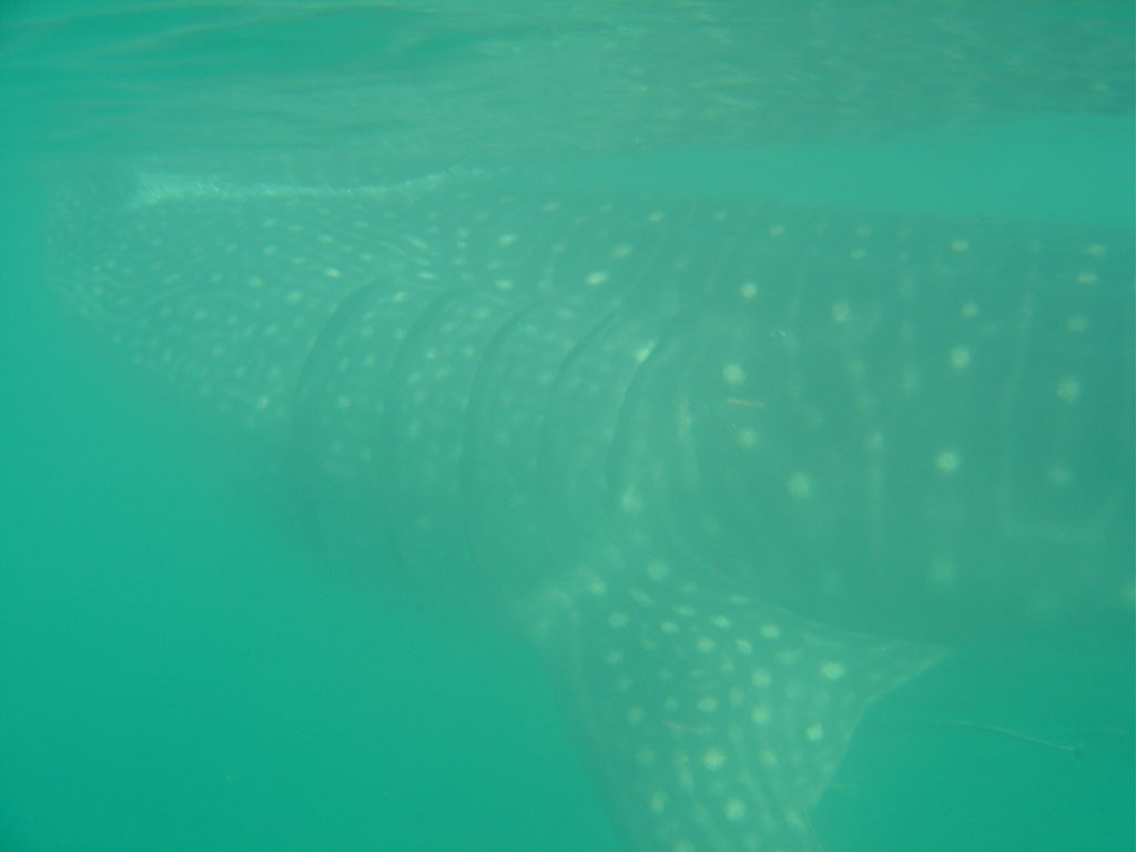 335a7507-4581-434d-b31e-e4a995f74e84