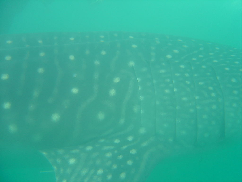 335a7507-4581-434d-b31e-e4a995f74e84