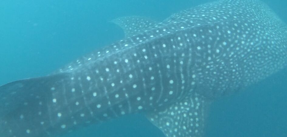 985b0db7-41b8-4357-8800-58fc1ddd4c5b