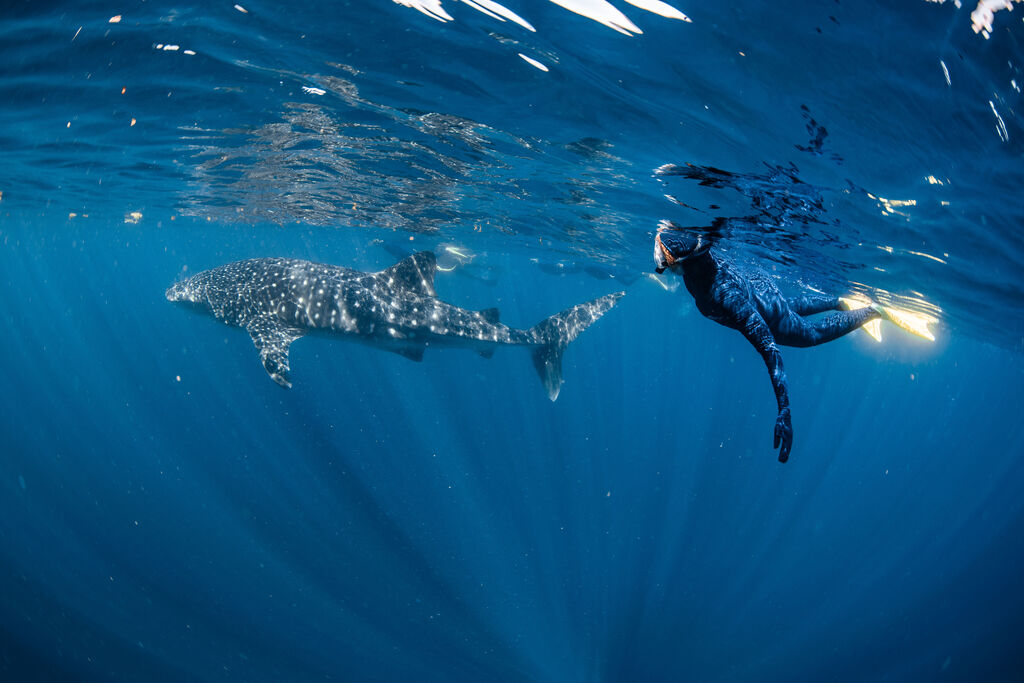 9fb47f9a-940d-4cc8-86cc-9d737df3808c