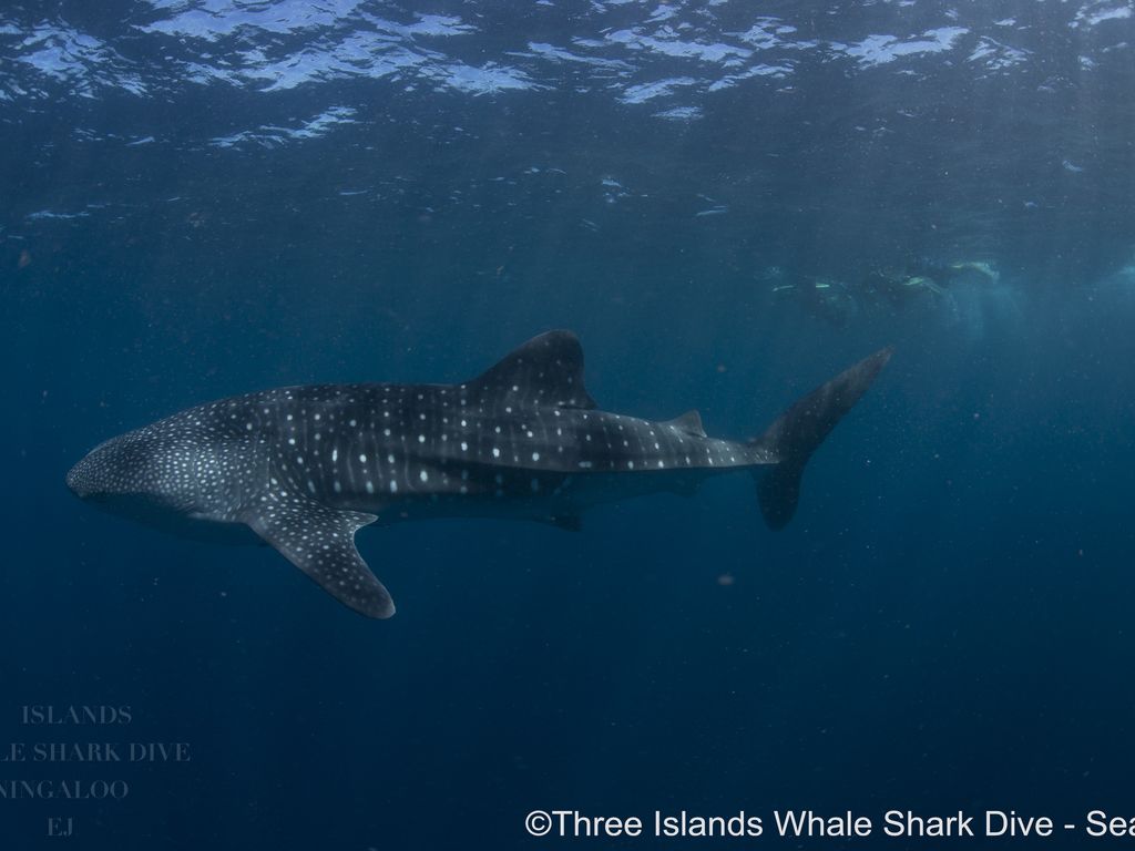 2e5b8a54-a14e-47ce-b871-39d01a63f33b