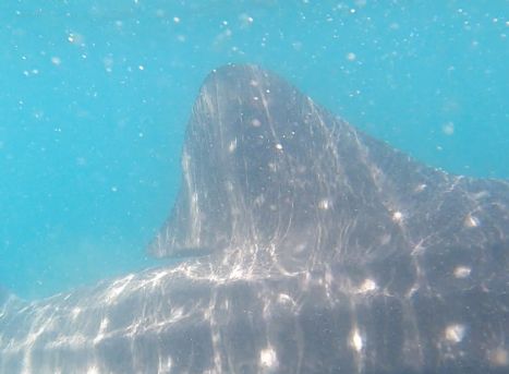 d54d6acf-f0b7-447b-ac16-396e72ea72a4