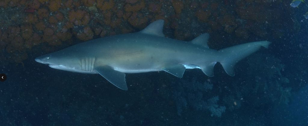 fca2e92b-7b30-48a2-bf1e-ad2acad1b846