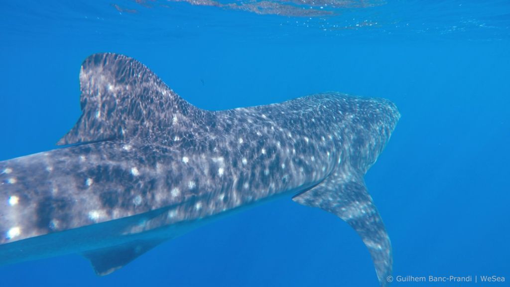 5718cb49-7f0b-4723-a459-16c79005974a