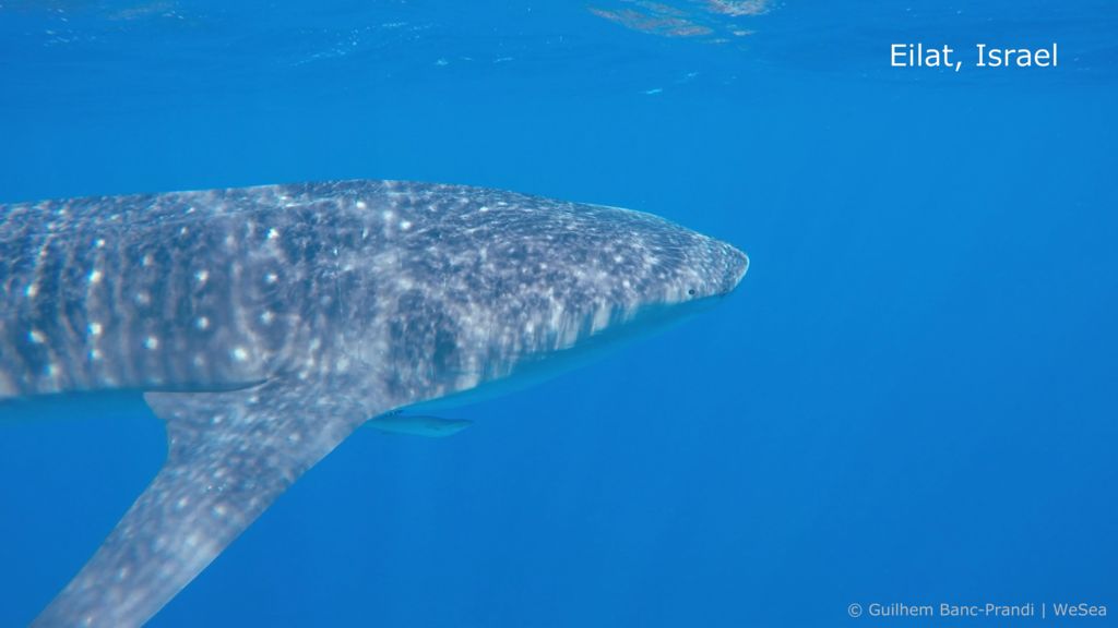 5718cb49-7f0b-4723-a459-16c79005974a