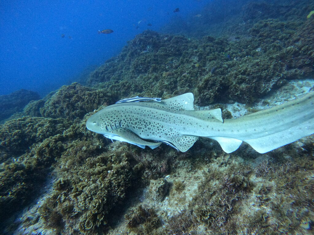 80e0c139-6b38-4634-a8c8-e74f650d40b6