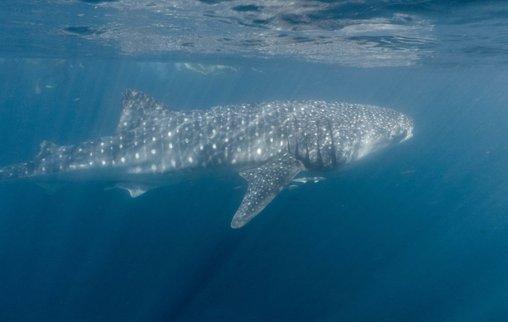 5b8b8cdd-668f-4632-bb73-b0892d72f87e