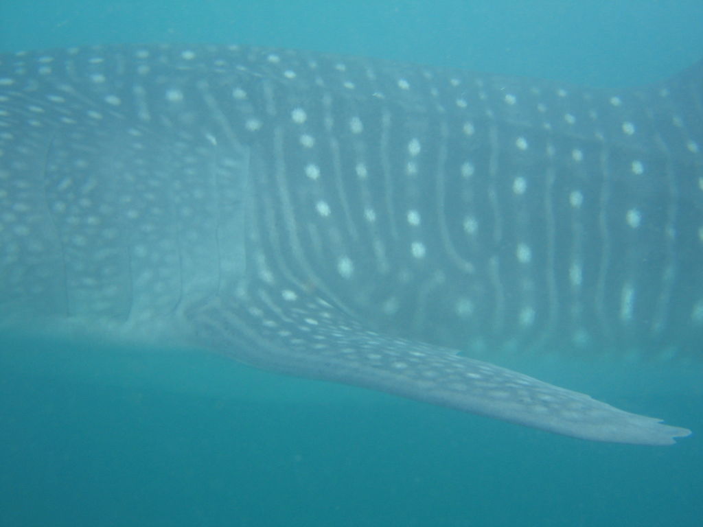 8a78923d-6b0c-48e1-9d1f-f6bf805d686b