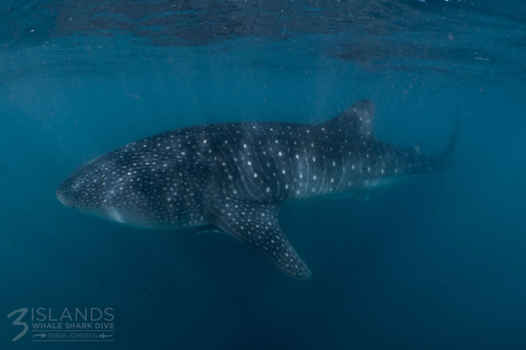 29bceb0b-f5d4-4078-be17-0724535cf84f