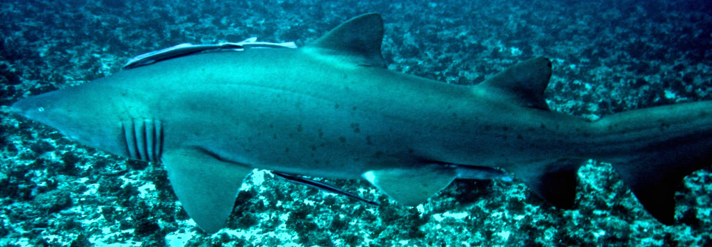 9da8535d-8478-451c-9e29-f6dba9f3fa6b